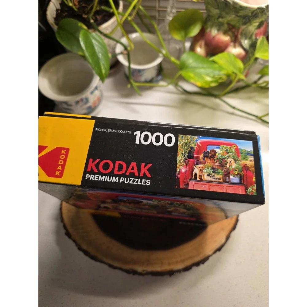 Kodak 